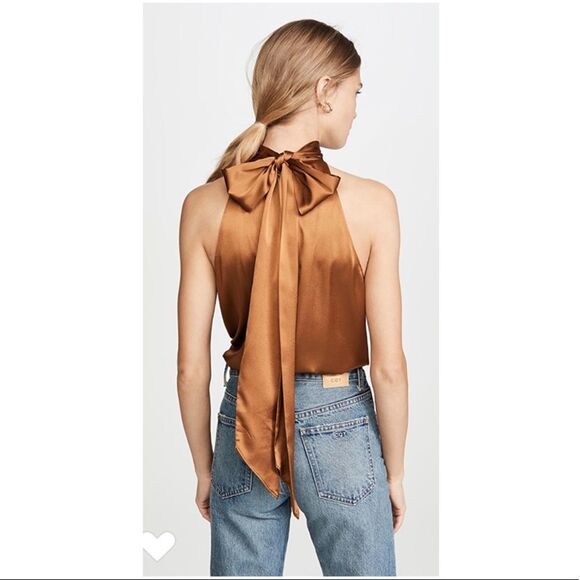 Ramy Brook Lori Halter Tie Back Silk Top in Clay (Red). - Picture 4 of 12